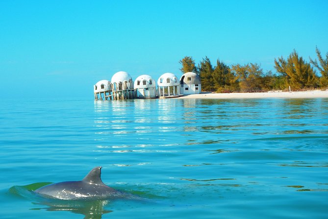 Avi's Premium Dolphin Tour by Jet Ski - Jet Ski Dolphin Hunting From Goodland Boat Park