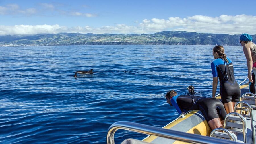 Azores: Swim with Dolphins Atlantic Experience - Small Group Matters: Why Max 10 Feels Different