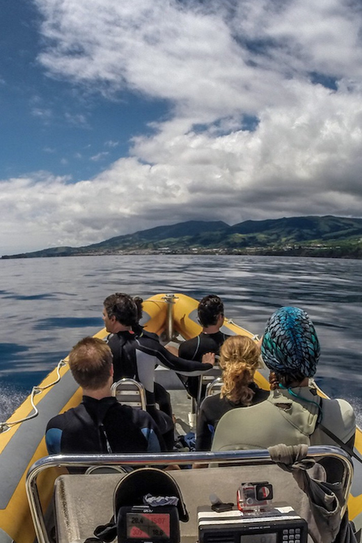 Azores: Swim with Dolphins Atlantic Experience - Snorkeling Afterward: Seeing the Sea Bed Like a Local