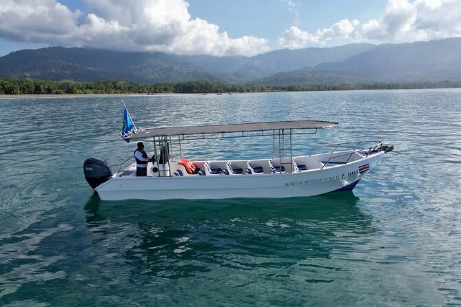 Bahia Ballena Whale and Dolphin Tour - Morning - Key Highlights You’ll Feel During the Tour