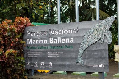 Bahia Ballena Whale and Dolphin Tour - Morning - Marino Ballena National Park and the Whale’s Tail Landmark