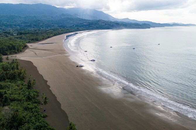 Bahia Ballena Whale and Dolphin Tour - Morning - Wildlife-Watching Reality Check: Manage Your Expectations