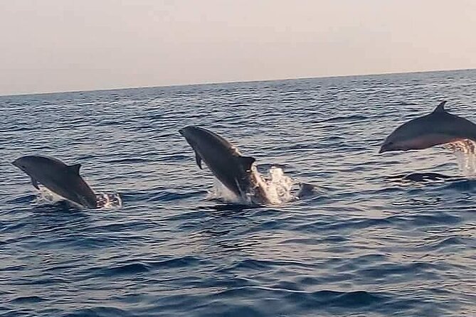 Bali and Lovina with Sunrise Dolphin Tour and Snorkeling - Key things I’d plan around