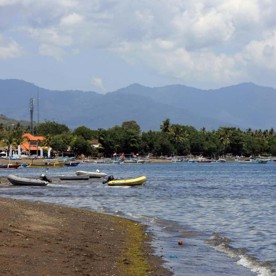 Bali Bliss: Dolphin Lovina Private Expedition - Price and value: is $18 a fair deal for a private setup?