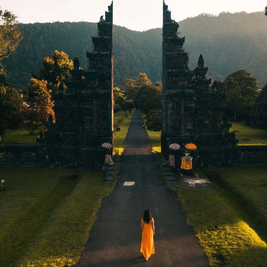 Bali Bliss: Dolphin Lovina Private Expedition - Coffee tasting and coffee plantation stops: how to get the most out of them