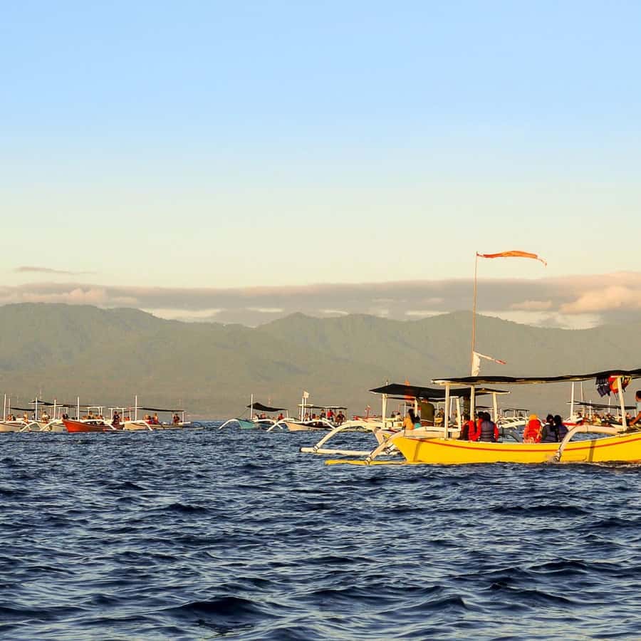 Bali Bliss: Dolphin Lovina Private Expedition - Snorkeling add-on: the chance for closer dolphin moments