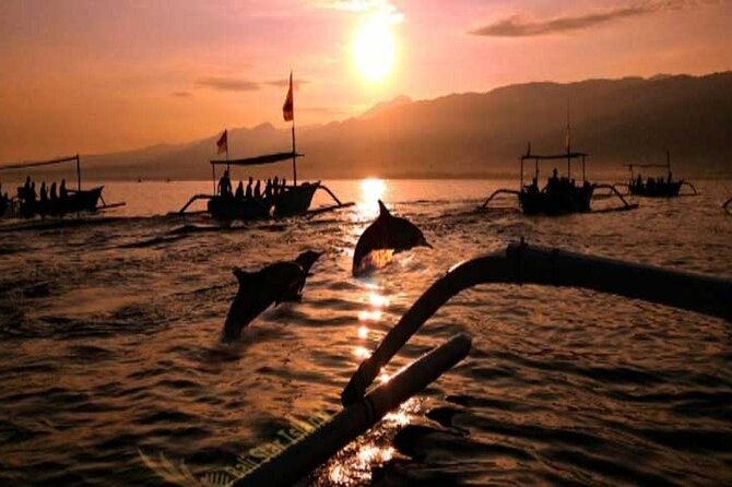 Bali Dolphin Lovina tour and Ulundanu Beratan - Price and value: what $75 really covers