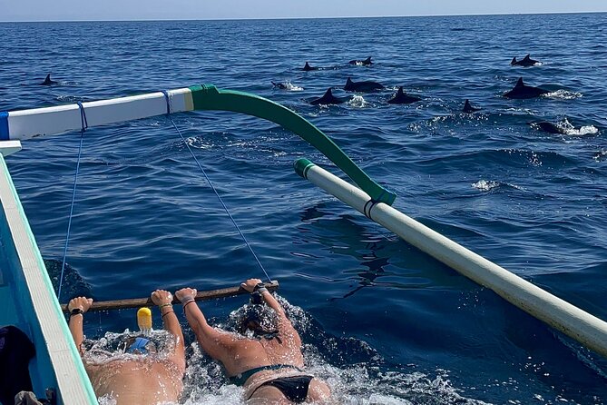 Bali : Dolphin Sunrise Experience Tour Private All Inclusive - Key highlights you’ll feel right away