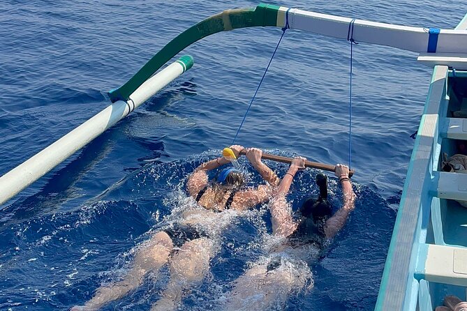 Bali : Dolphin Sunrise Experience Tour Private All Inclusive - Why this private Ubud-to-North Bali setup feels worth it