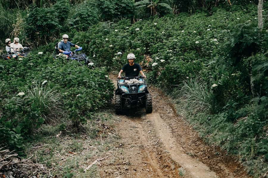 Bali: Dolphin Swimming Tour with ATV Quad Bike & Waterfall - Safety, dolphin etiquette, and what you should prep before pickup