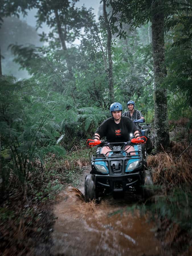 Bali: Dolphin Swimming Tour with ATV Quad Bike & Waterfall - Price and logistics: what $81 actually buys you