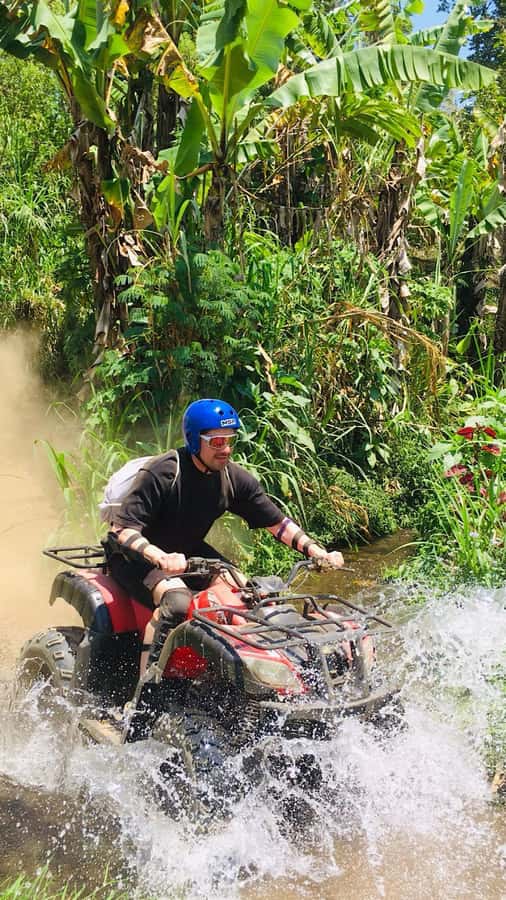 Bali: Dolphin Swimming Tour with ATV Quad Bike & Waterfall - Who this tour suits best (and who might want something else)