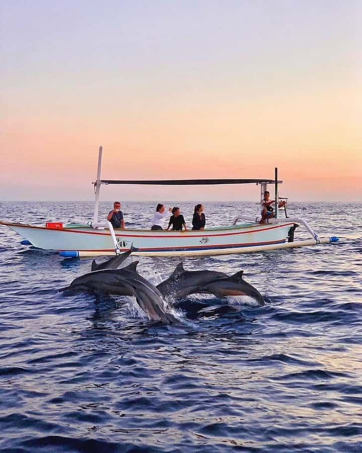 Bali: Dolphin Watching, Snorkeling, and Munduk Day Tour - Sunrise Dolphin Watching Off Lovina Beach: boats, timing, and the snorkel question
