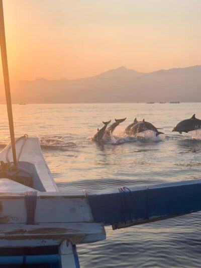 Bali: Dolphin Watching, Snorkeling, and Munduk Day Tour - Lovina snorkeling in calm water: how to make it actually enjoyable
