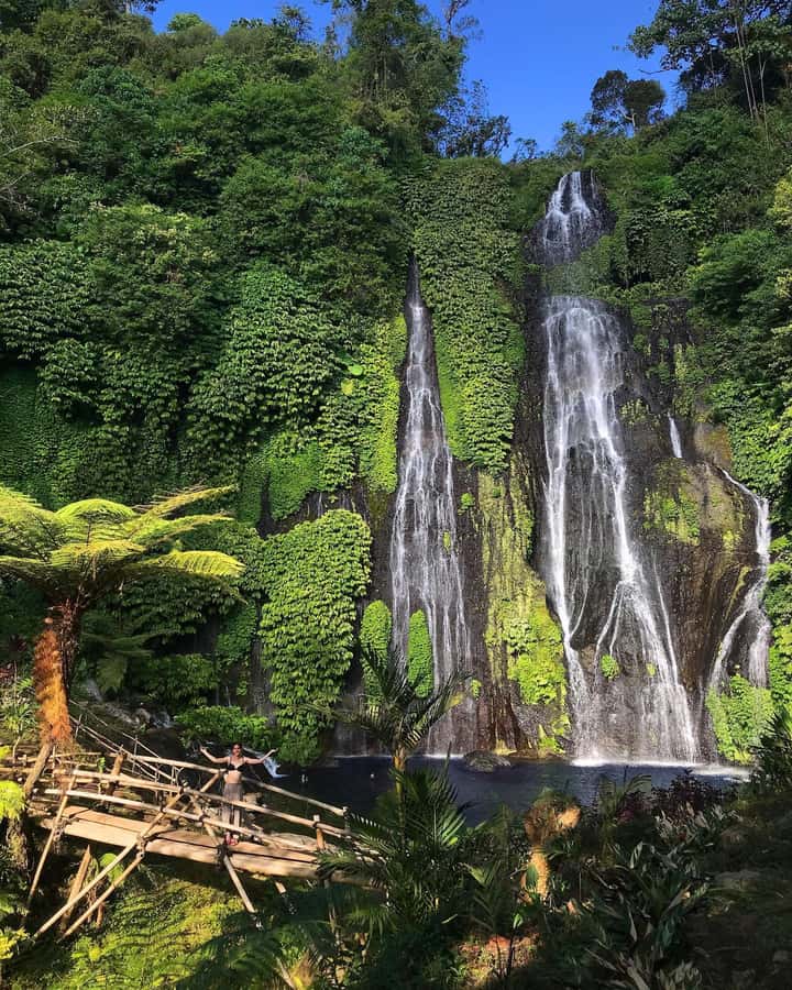 Bali: Dolphin Watching, Snorkeling, and Munduk Day Tour - Private guide + car transport: why pickup locations matter in Bali