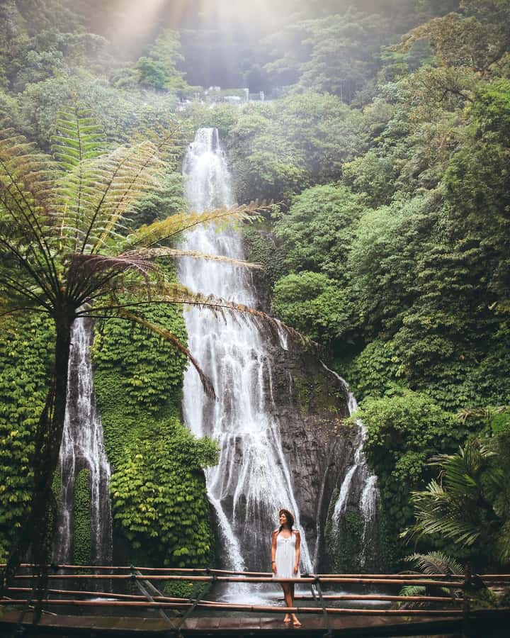 Bali: Dolphin Watching, Snorkeling, and Munduk Day Tour - Who this tour is best for (and who should skip it)