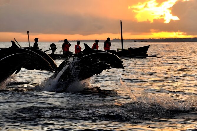 Bali Dolphin Watching Sunrise Tour in Lovina Beach - What’s Included (and What You Should Double-Check)