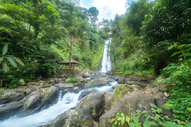 Bali Dolphin Watching Sunrise Tour in Lovina Beach - Gitgit Waterfall: A Nature Pause That Breaks the Long Day