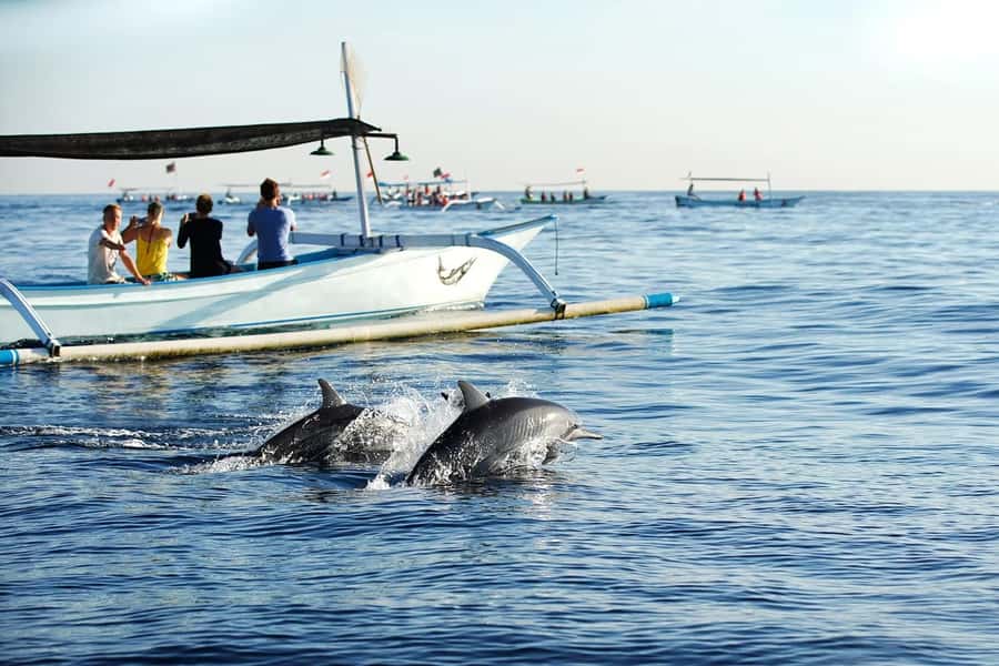 Bali: Lovina dolphin adventure with breakfast and snorkling. - First light at Lovina: sunrise breakfast that sets the tone