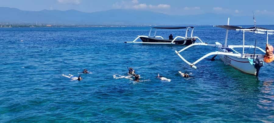 Bali: Lovina dolphin adventure with breakfast and snorkling. - The swim-with-dolphins moment: hold on, stay calm, enjoy