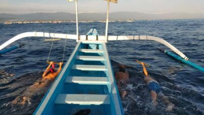 Bali: Lovina dolphin adventure with breakfast and snorkling. - Dolphin watching from a boat: what “close” really means