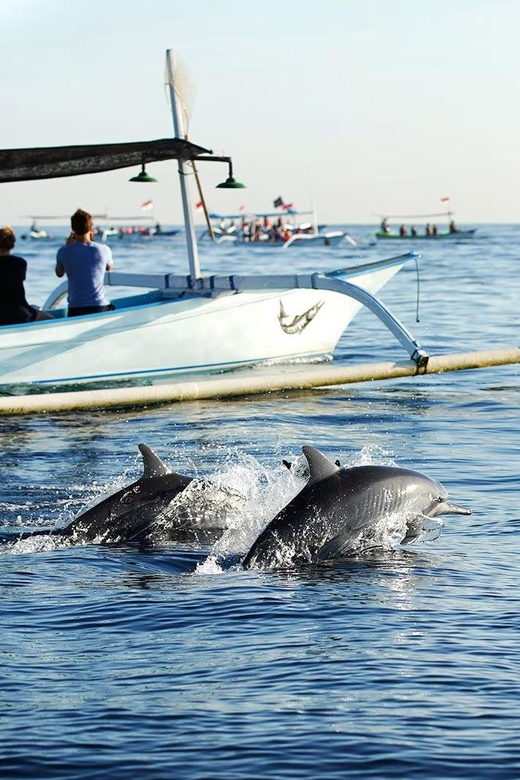 Bali: Lovina dolphin adventure with breakfast and snorkling. - Who should book this trip (and who should skip it)