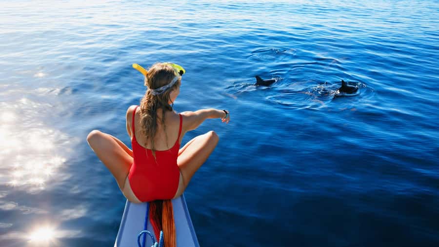 Bali/Lovina: Dolphin Snorkeling, Swimming & Waterfall Tour - Key Things I’d Pay Attention To