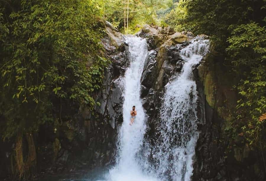 Bali/Lovina: Dolphin Snorkeling, Swimming & Waterfall Tour - FAQ