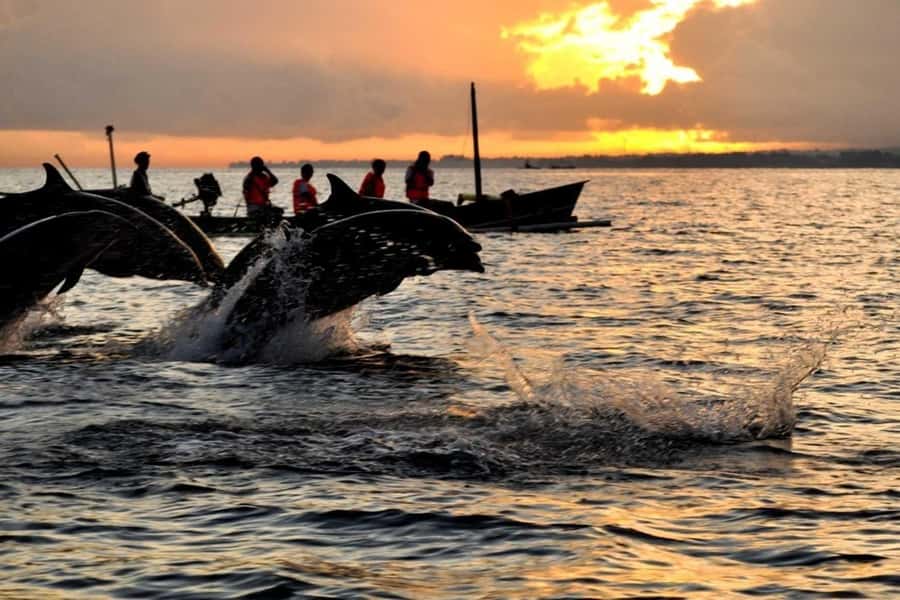 Bali/Lovina: Dolphin Snorkeling, Swimming & Waterfall Tour - Lovina Sunrise: Why the Morning Here Feels Different