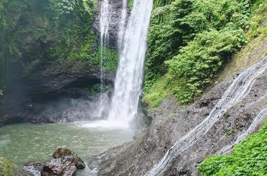 Bali/Lovina: Dolphin Snorkeling, Swimming & Waterfall Tour - Optional Git Git Waterfall, Handara Gate, and Ulundanu Beratan