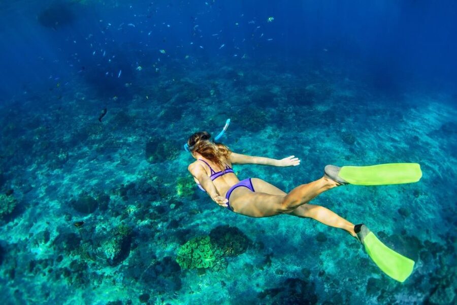 Bali/Lovina: Dolphin Snorkeling, Swimming & Waterfall Tour - Tips to Make Your Day Go Smoothly