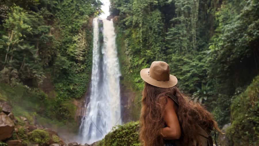 Bali/Lovina: Dolphin Snorkeling, Swimming & Waterfall Tour - The Boat Ride and the Dolphin-Plank Swim (What Changes and What Doesn’t)