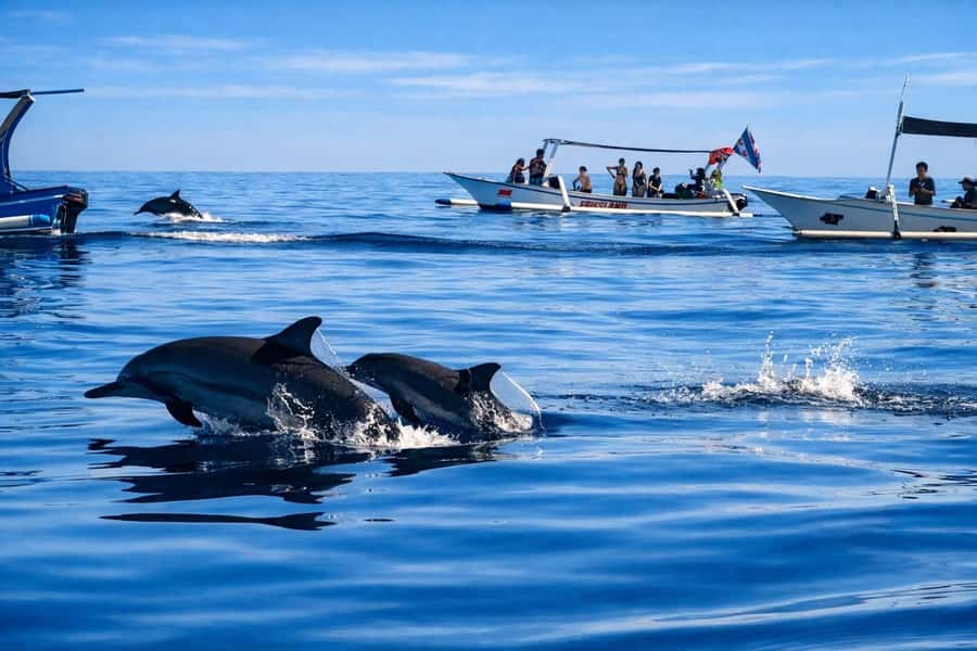 Bali/Lovina: Guided Dolphin Watching & Sunrise Boat Snorkel - What to bring so you feel comfortable the whole time