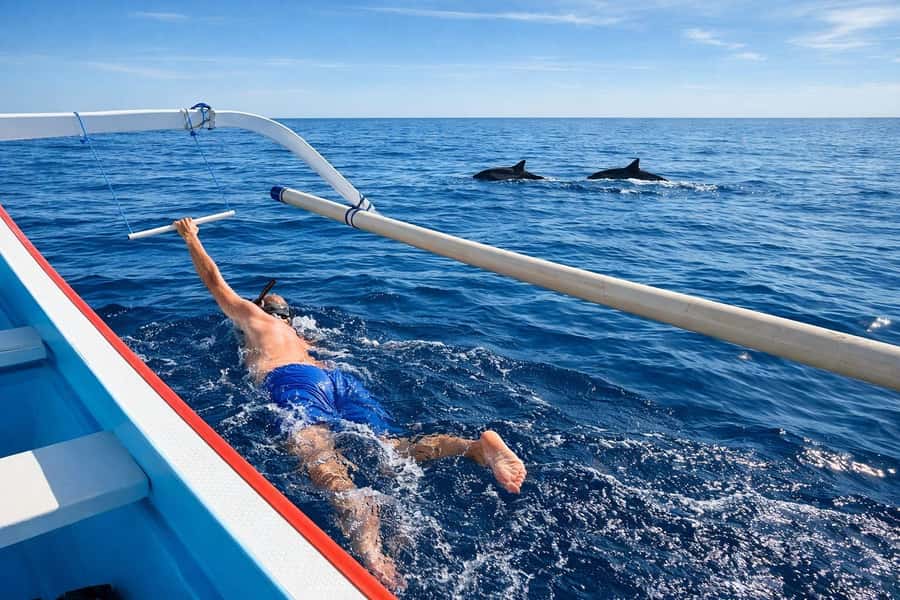 Bali/Lovina: Guided Dolphin Watching & Sunrise Boat Snorkel - Dolphin watching: timing, boat style, and the “standard distance” rule