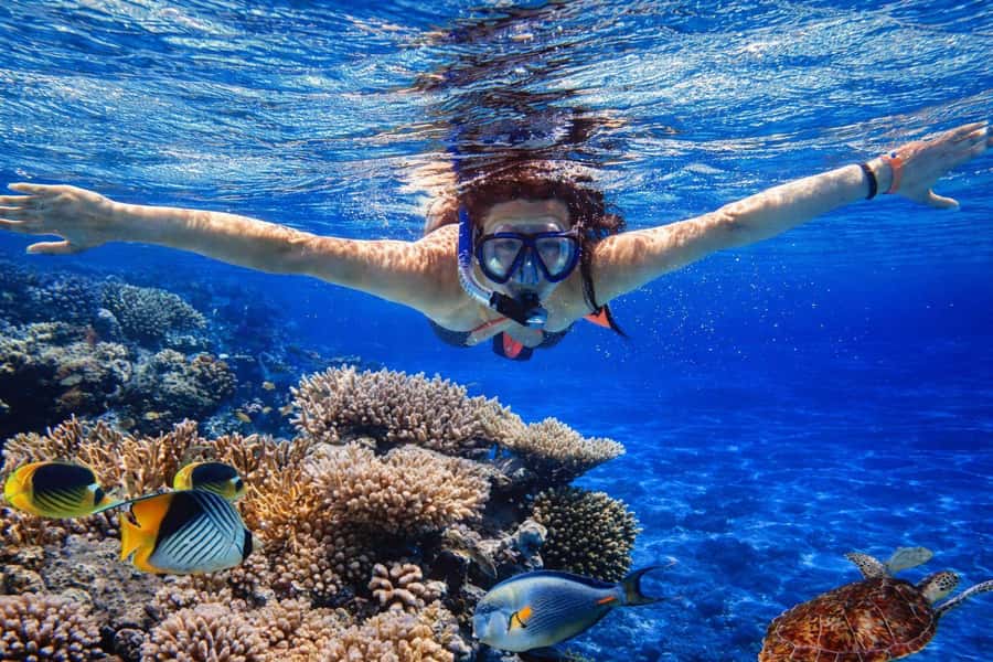 Bali/Lovina: Guided Dolphin Watching & Sunrise Boat Snorkel - Who should book this tour, and who should skip it