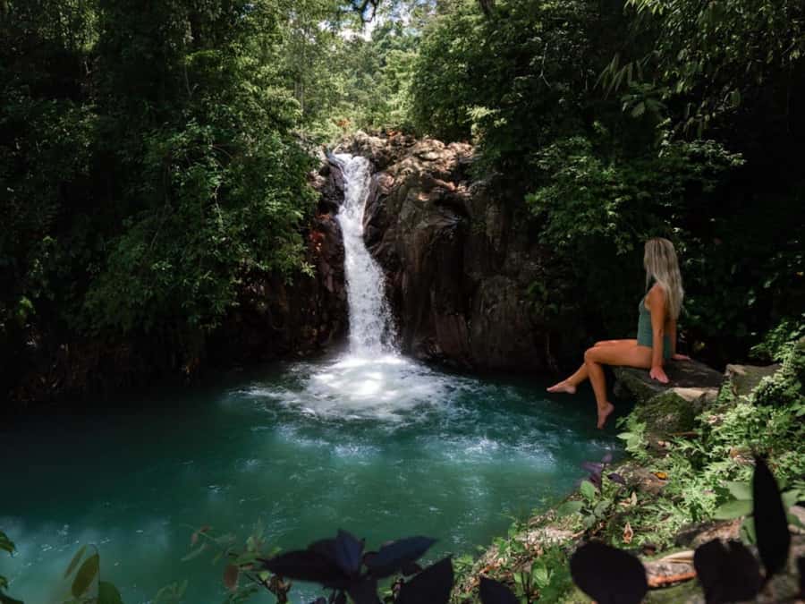 Bali: Swimming with dolphin & waterfal tour, all inclusive. - Key points before you go