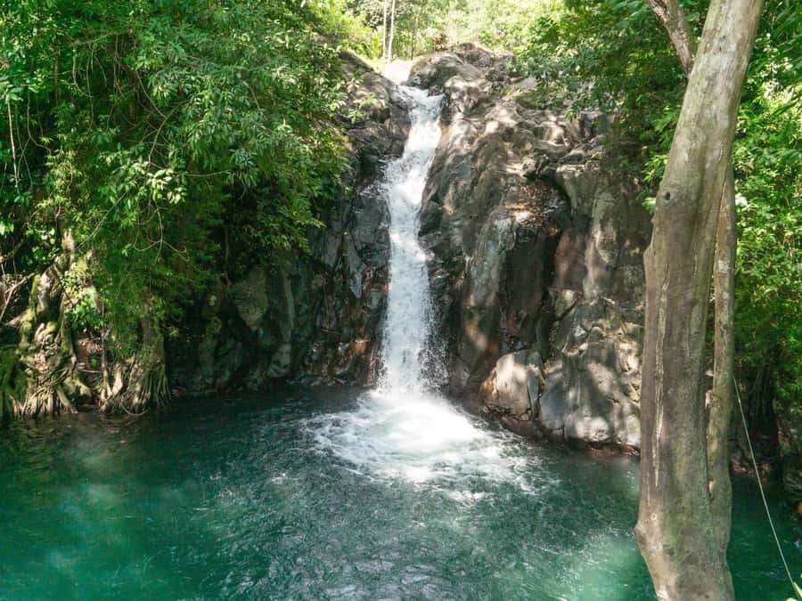 Bali: Swimming with dolphin & waterfal tour, all inclusive. - Sunrise dolphin swim plus a waterfall hike: the core idea