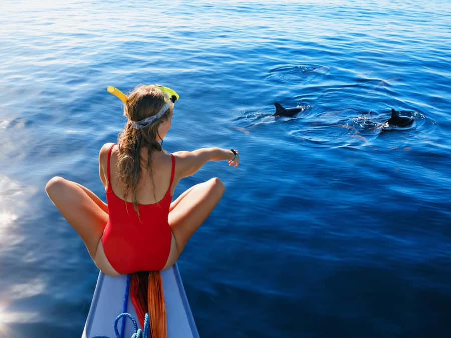Bali: Swimming with dolphin & waterfal tour, all inclusive. - How the dolphin swimming works, and the trade-offs to know