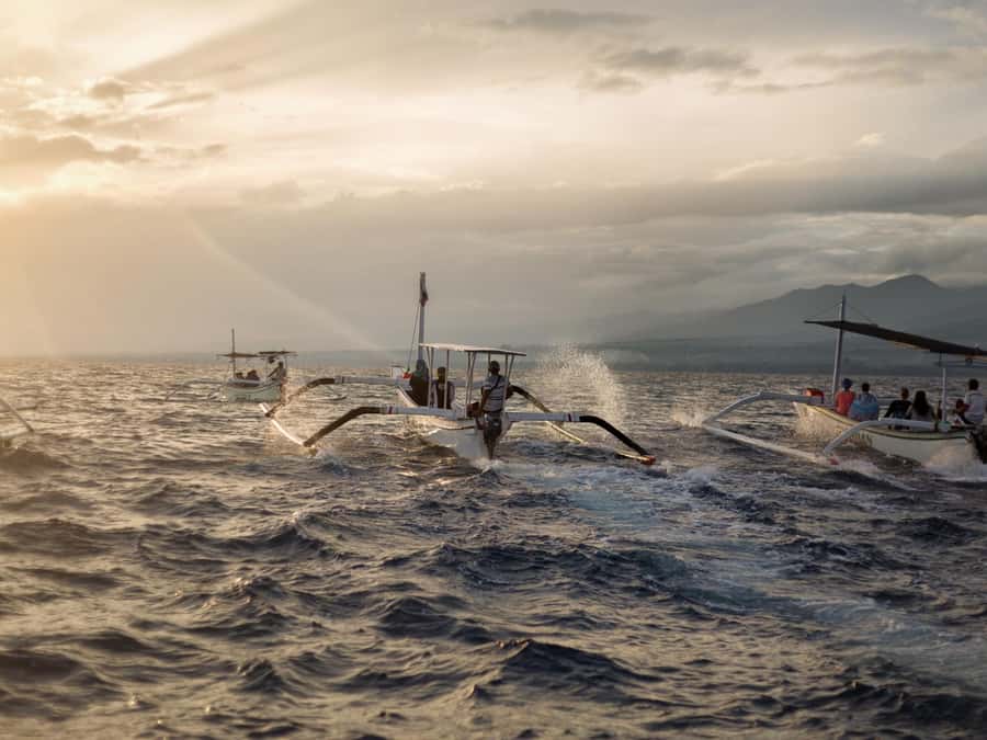 Bali: Swimming with dolphin & waterfal tour, all inclusive. - Price and value: is $92 fair for a 9-hour day?