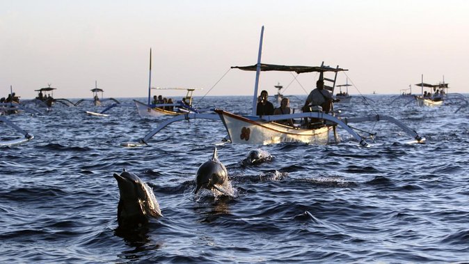 Bali Watching Dolphin at Lovina Beach & aling aling waterfall - The private day plan from Seminyak (and why it matters)