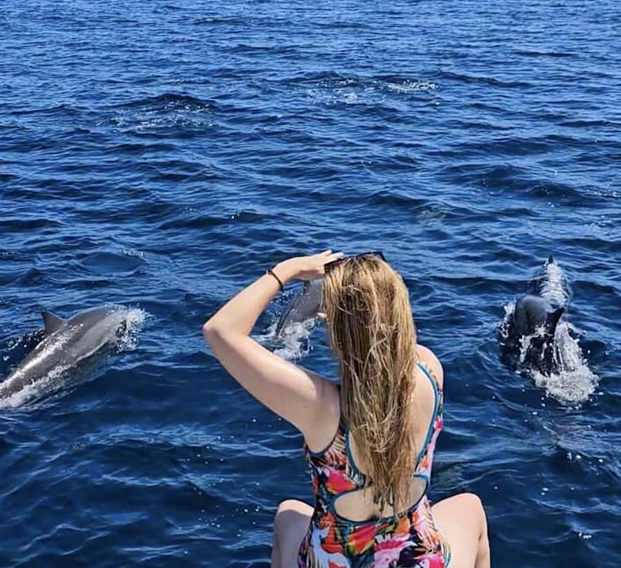 Bali: Watching Dolphin, Swimming & Snorkeling Tour - Why Lovina Works So Well for Dolphins at Sunrise