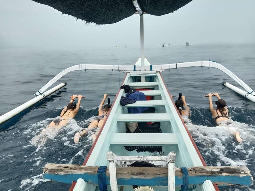 Bali: Watching Dolphin, Swimming & Snorkeling Tour - Swim With Wild Dolphins: The Plank Method and Safety Rules