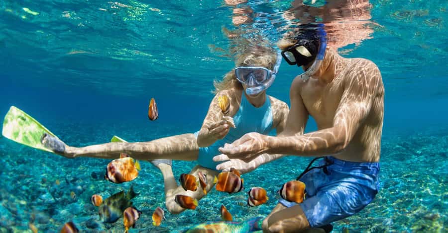 Bali: Watching Dolphin, Swimming & Snorkeling Tour - Snorkeling in Lovina: Reef Time After the Dolphins