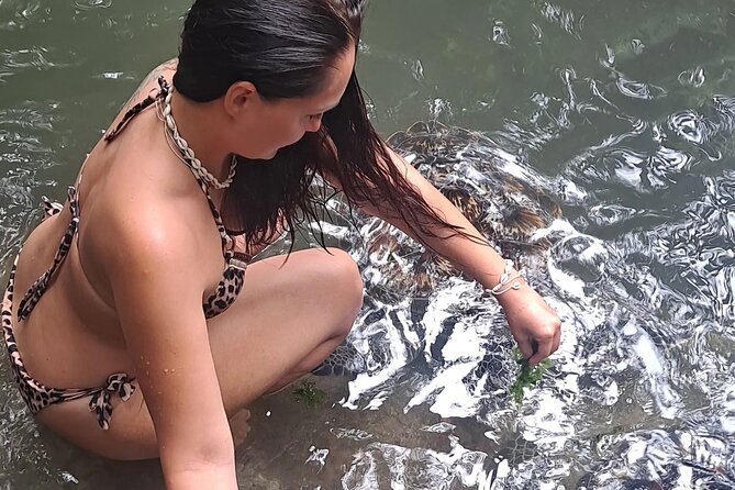 Baraka Aquarium and Dolphin Sightseeing with Sunset Cruise - Key things to know before you go