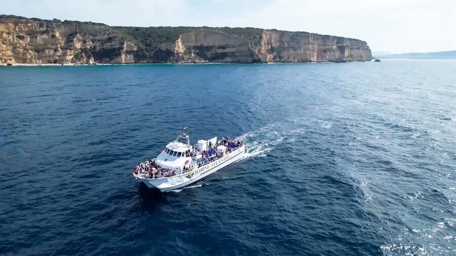 Barbate: Dolphin and Whale Watching in Cape Trafalgar - Marine Atlantes in Barbate: getting set up fast