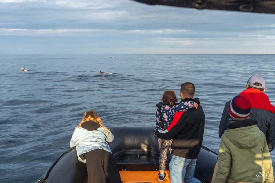 Basque Country : Whale and Dolphin Watching Boat Tours - Comfort and safety: a fast boat needs smart packing
