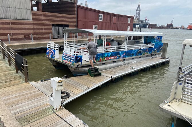 Baywatch Dolphin Tours – Pier 21 Galveston - Dolphin watching that’s actively guided, not random luck