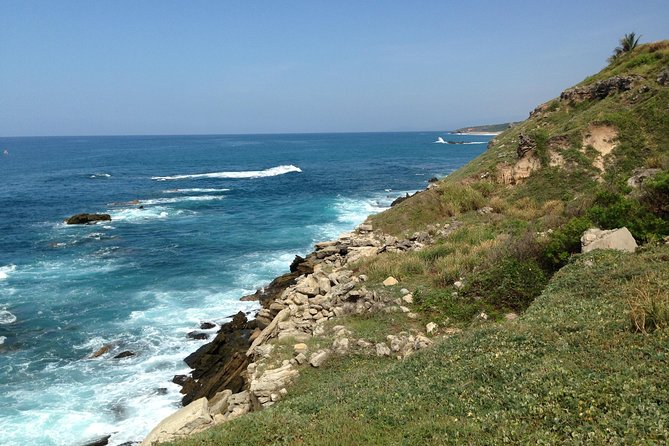 Beaches Dolphins And Viewpoints Discovering The Hidden Port By Sea And Land - Sport Fishing on a Morning Cruise: Fun, Fast, and Weather-Dependent