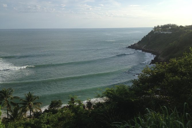 Beaches Dolphins And Viewpoints Discovering The Hidden Port By Sea And Land - FAQ