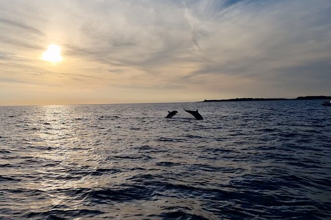 Beautiful Sunset and Dolphin Watching - Onboard touches: free soft drinks and a crew that keeps things smooth